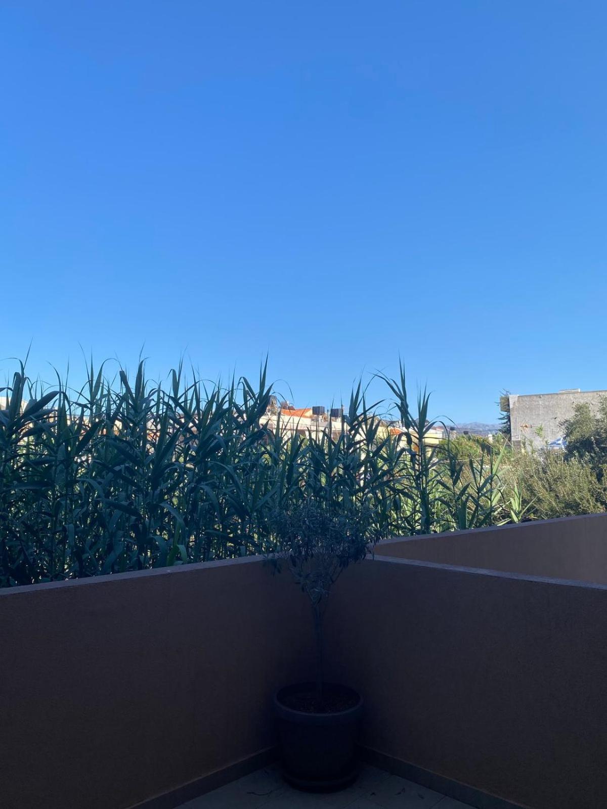 Blue Appartement Analipsi (Crete)